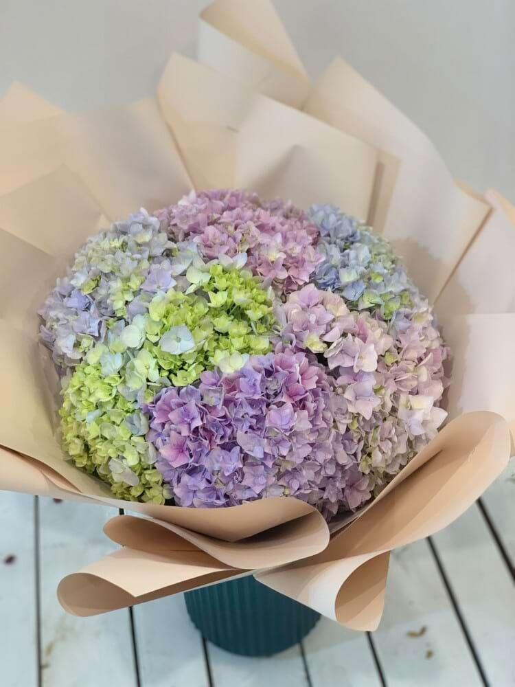 Hydrangea Heaven 