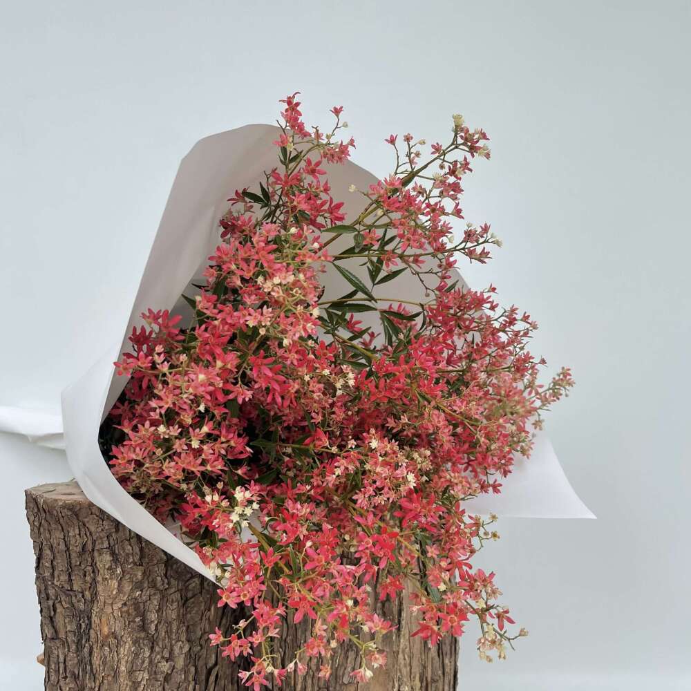 Christmas bush bouquet