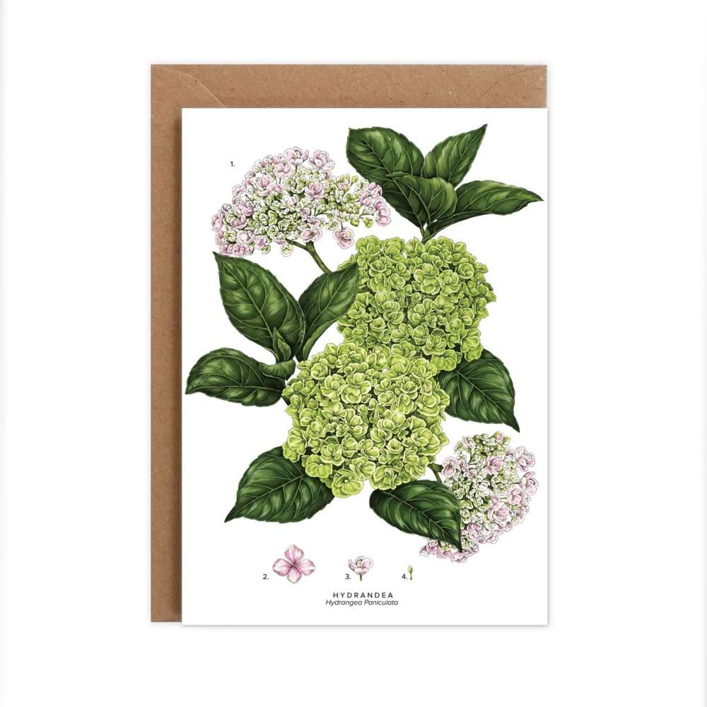 HYDRANGEA card 