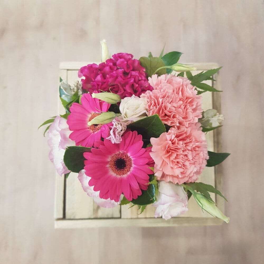 Petite Pinks
