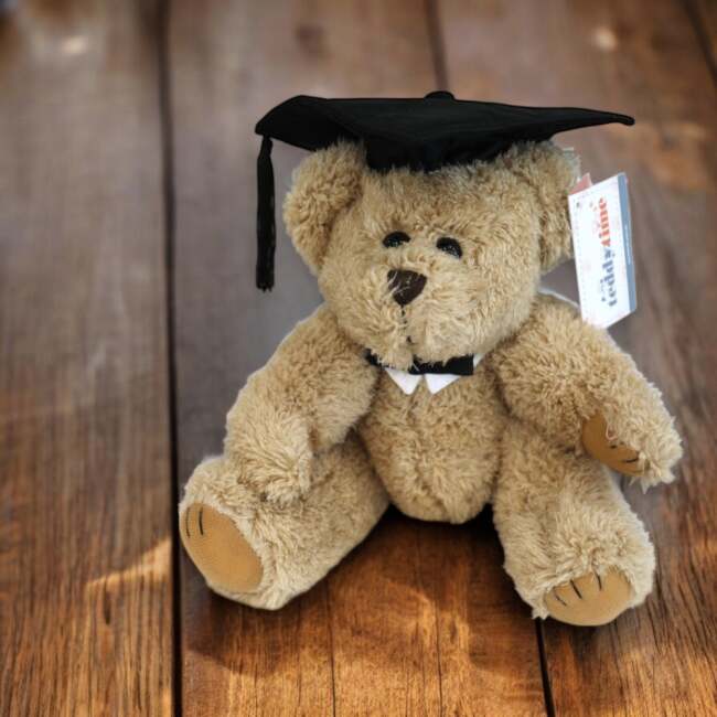 Graduation Bear 