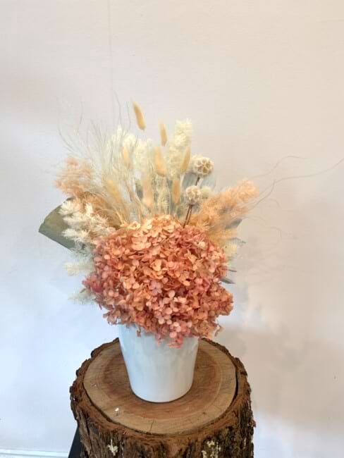 Pretty little thing - peach